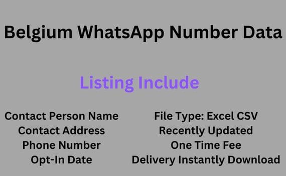 比利时 WhatsApp 号码数据