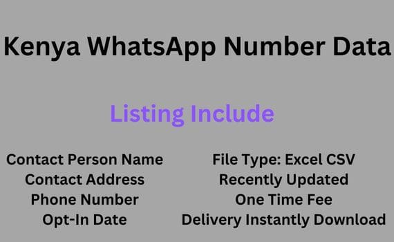 肯尼亚 WhatsApp 号码数据