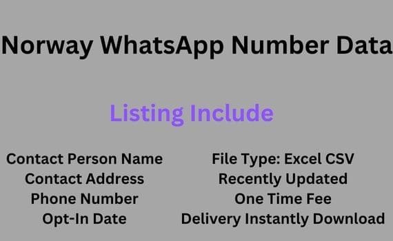 挪威 WhatsApp 号码数据
