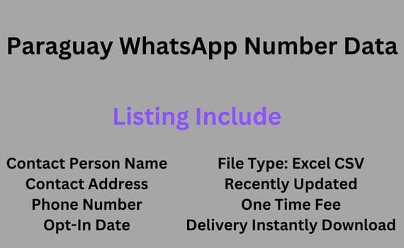 巴拉圭 WhatsApp 号码数据